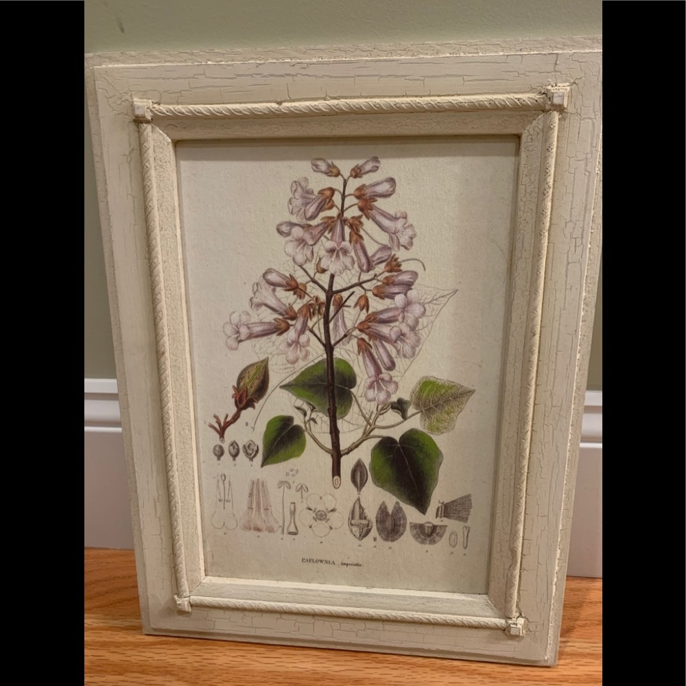 Framed print
